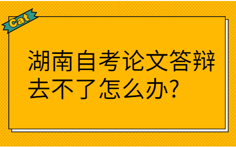 湖南自考论文答辩