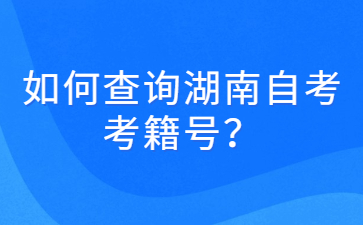 如何查询湖南自考考籍号？