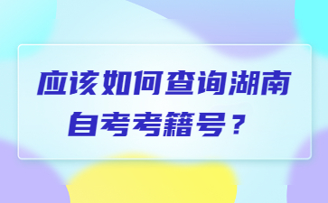 应该如何查询湖南自考考籍号？